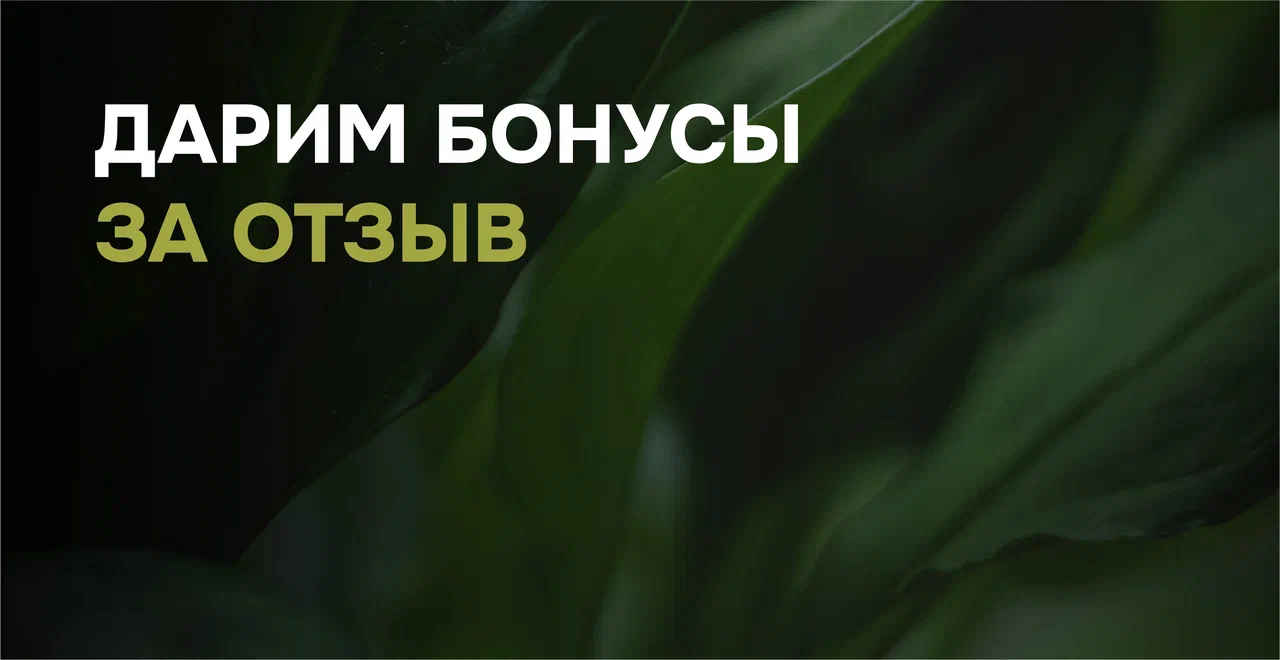 Дарим бонусы за отзыв 